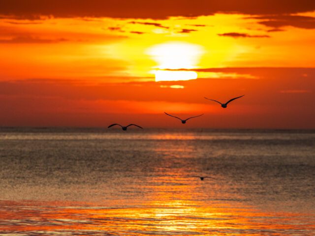 The Real Numbers Behind Bethany Beach Luxury Real Estate