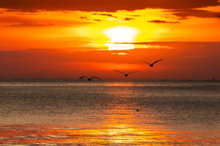 Relaxing and watching a sunrise in Bethany Beach after learning what the Real Numbers Behind Bethany Beach / Coastal Delaware Luxury Real Estate