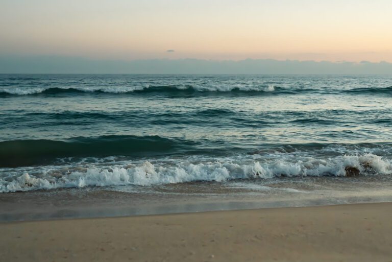 Joyce Henderson helping buyers evaluate a Bethany Beach luxury coastal home
