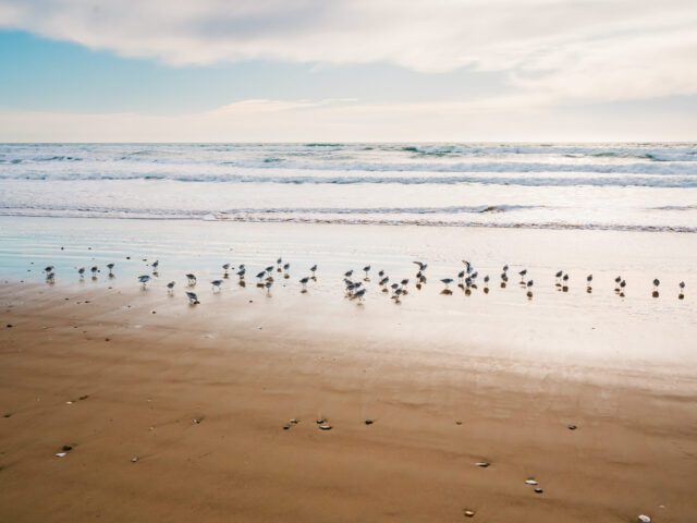 Your Questions Answered: Buying a Bethany Beach Luxury Home